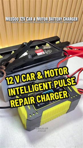 12V Car and Motorcycle Intelligent Pulse Repair Charger