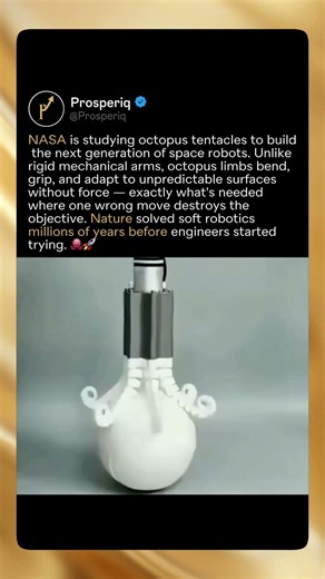 NASA Is Studying Octopus Tentacles To Build The Next Generation Of Space Robots 🐙🚀