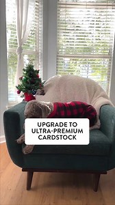 Add style to your season’s greeting this year and save 70% when you spend $29+ with code 70STM24. | Snapfish | Facebook