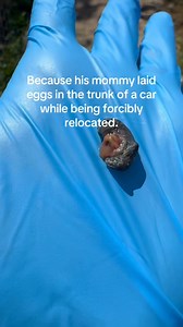 359K views · 4K reactions | After our last update about our snapping...