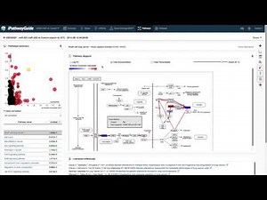 iPathwayGuide's Pathway Diagram