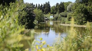 Quiz. Environnement : saurez-vous répondre à ces 10 questions ?