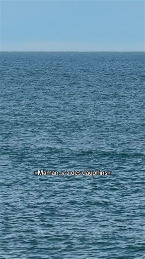 Depuis la plage des Aresquiers entre Montpellier et Sète, des dauphins.. irréel mais pourtant bien vrai 🫶🏻☀️🌞 . . . #montpellier #sete #frontignan