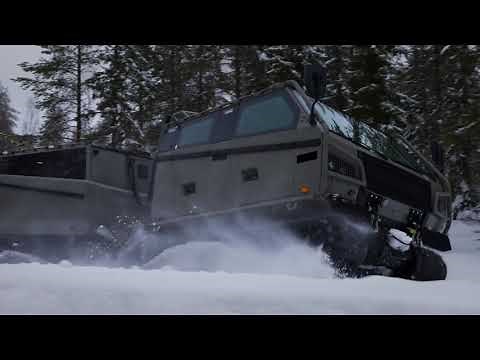The BvS10 Beowulf