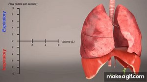 spirometry animation on Make a GIF