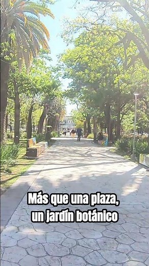 "¿Sabías que esta plaza en Argentina tiene árboles únicos? 🇦🇷