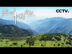 【ENG】在武夷山上可以看到“一山多景”的奇特风貌 从山麓到山顶在不断变化《美丽中国自然》武夷山系列【CCTV纪录】