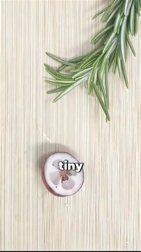 Particle project on Reels