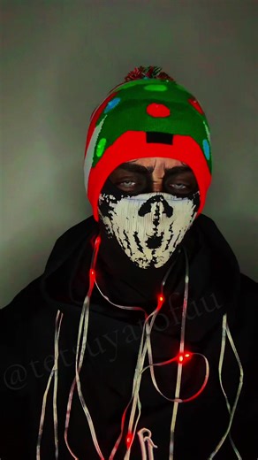 Merry Christmas Wishes from Tofuu