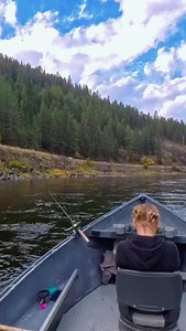 25K views · 8.4K reactions | There’s nothing quite like an angry steelhead smashing a plug. #plugbite #steelhead #fishing #fishingaddict #troutbum #trout | Nauti Dog Fishing Co. | Facebook