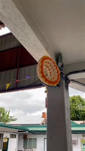 ✨ PAROL MAKING CONTEST 2025! ✨ LOOK AT THE CREATIVITY AND CHRISTMAS SPIRIT! 🌟 Our students at Children of Light Academy of Parañaque City showcased their artistry and teamwork as they crafted beautiful parols for this year’s contest. Each lantern shines with their dedication, imagination, and love for the season. 💛💚 Great job, Lightbearers! 🌟🎄 Congratulations in advance to all participants! #ParolMakingContest #ChristmasAtCLA #ChildrenOfLightAcademy #Lightbearers #FilipinoChristmas #Creativ