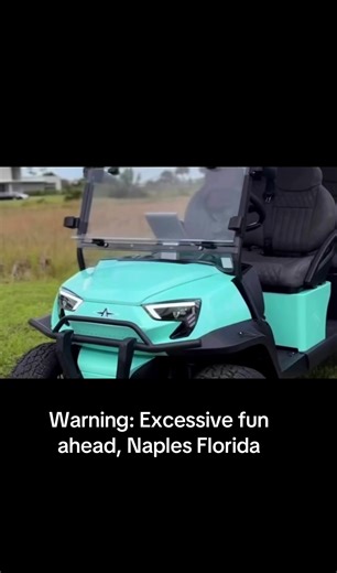 Luxurious Electric Rentals in Naples, Florida