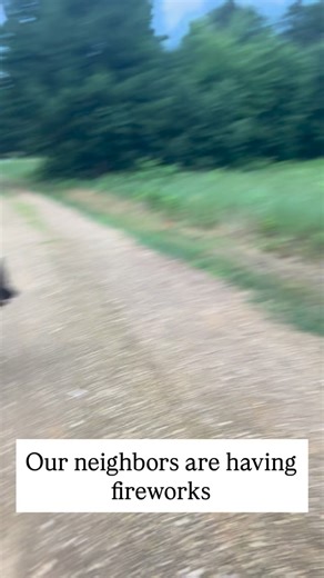 19 reactions | I meant to post this a while back. This was from the Fourth of July when our neighbors were doing fireworks while we were out with the dogs. They didn’t care at all! We’ve taken them to plenty of late-night fireworks shows in public places, and they always just copy us—sit quietly on the blanket, relax, and enjoy their time. Best dogs ever.  | Vom Geliebten Haus - German Shepherd Breeder, Wisconsin | Facebook