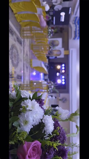 Triple E Decors ( Economical Exclusive Elite ) on Instagram: "Turning wedding dreams into timeless memories🥰 A royal reception filled with grace, glamour, and grandeur! 👑❤️ From concept to creation, we make it grand👌 Trust Triple E Decors to turn your reception into a masterpiece ❤️🫂 Bride @abhishreepurushothaman ❤️ Groom @jagadeesh_raman ❤️ Costume @_nandhini_fashion_ Mua @valli_makeup_artist Photography @2day_click_photography Mehandi @henna.artistics Dj @soundtronics_py @vdj_sundar @jarwi