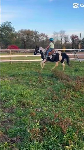 First time cantering my girl