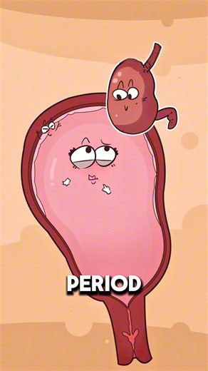 Why Some Women Experience False Pregnancy ⚠️🤰..!!#e2dhealth #animation #2dshow #fypシ #health