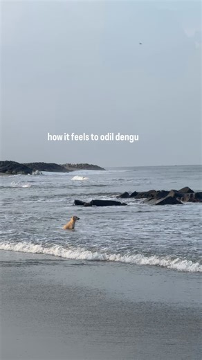 ❤️‍🔥da | you gotta odil dengu | Instagram