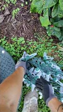 Protect Gutters When Using Ladder #shorts