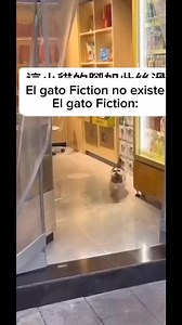 Este fin de semana tuvimos de tendencia al gato Fiction, recordando a #B2ST | Kpop Replay