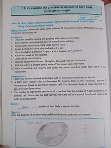 Biology class 12 HSC Practical Book #12 Experiment All Answers with Diagrams.