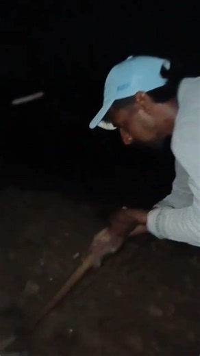 hard work home ji 🙂#shorts #shortvideo