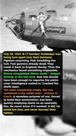 11 Shells Landed in Their Fuel Tank. Not One Exploded. Then They Found the Note. #history #wwii