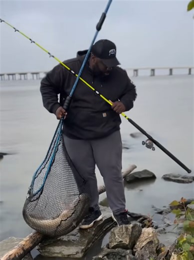 Catch of the Day: My Best Channel Catfish