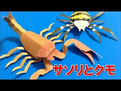 サソリとクモのペーパークラフト！新・りったい昆虫館
