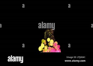 Colorful balloons are flying in the sky. People release balloons.