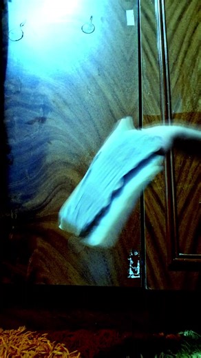 ✨️Neon_dragon✨️ (@neon_dragon305)’s videos with Brian is the most beautiful by Memo boy - ★