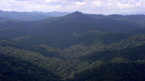 An ancient ‘lost city’ teeming with life