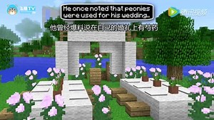 我的世界MV：Faded