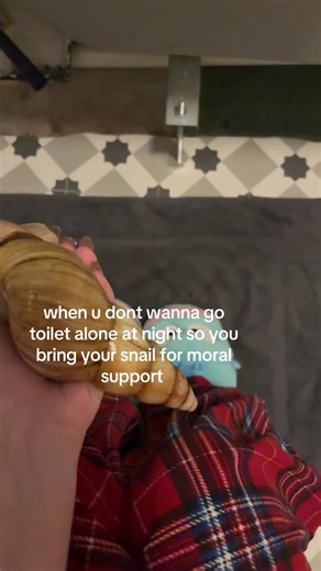 Bringing Your Snail for Moral Support at Night