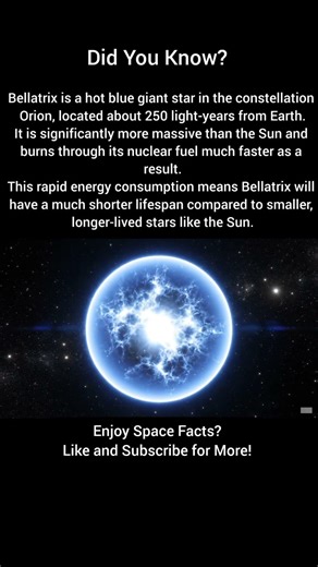Why Bellatrix Will Die Faster Than The Sun?