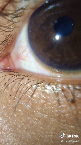 Tips Fotografi Macro dengan Mode Pro MIUI