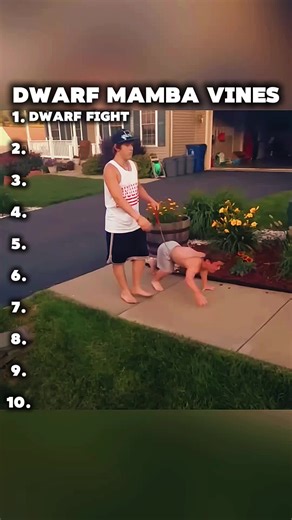 Dwarf Mamba Vines #fyp#vine#dwarfmamba | dwarf mamba vines