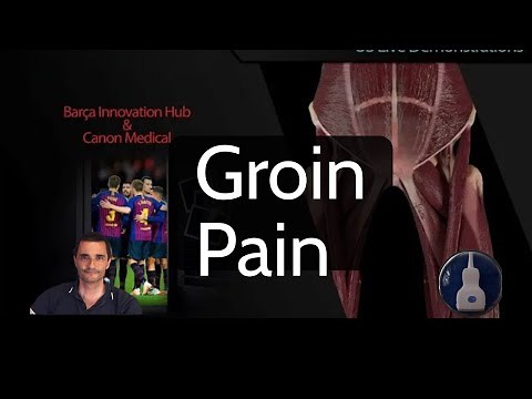 GROIN PAIN: Live Ultrasound Demo | Adductors, Iliopsoas, Pubis & Hip – Tokyo Forum
