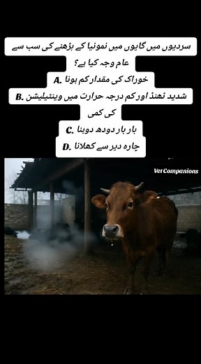 Vet Quiz Follow Vet Companions on TikTok Link 👇 https://www.tiktok.com/@vet.companions?_t=ZN-8y65u8yBywo&_r=1 Follow Vet Companions on YouTube Link 👇 https://youtube.com/@vetcompanions?si=J-F6qyWK1DGe_1NC Follow on Instagram Link 👇 https://www.instagram.com/vet.companions?igsh=MTZzajBsc283ZXJrbw== #vetcompanions #dairyfarming #dairyfarm #animalcare | Vet Companions