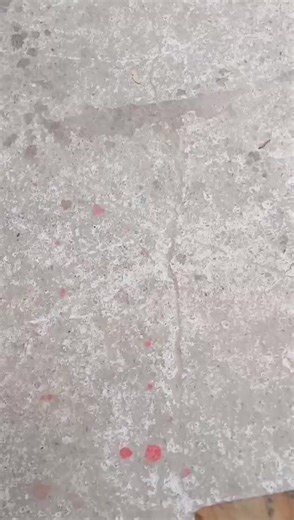 🪵 Un soporte sencillo, barato y funcional hecho con madera de pallet. Medidas claras, pocos materiales y una idea que cualquiera puede hacer en casa. Si te gustan estos proyectos fáciles y prácticos, sígueme para más ideas en madera 🔨 #Carpinteria #DIYMadera #ElCarpinteroOnline #IdeasConMadera #HechoAMano