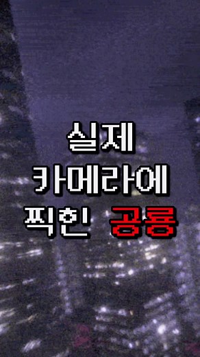실제 카메라에 찍힌 공룡의 신비