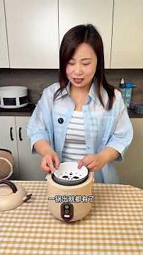 Revolutionize Home Cooking: Mini Rice Cooker for Small Populations