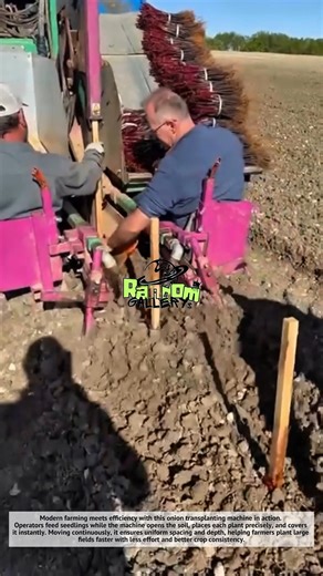 Super Fast Onion Planting Machine | Amazing Farming Technology #shorts