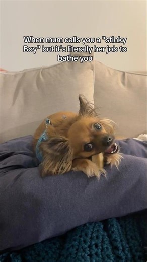 When mom call you stinky and it’s literally her job to bathe you