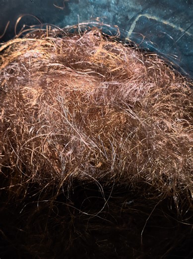 Finding Hidden Gold in Scrap: MK5 Transit Treasures