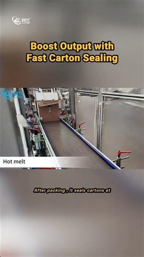 Revolutionize Your Production with a High-Speed Linear Case Packing Machine