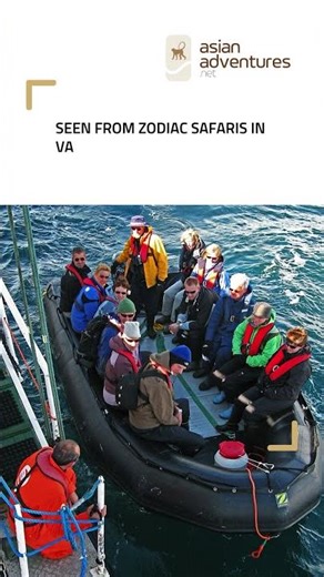 Asian Adventures presents the Arctic Wildlife Expedition