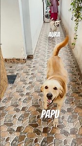 slow mo video with original+reverse version #lifeisbutadream