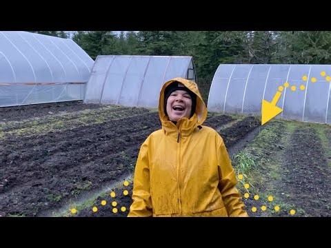 All Paths Lead to Noodle Arms + Non-Fiction & Mind Candy Books