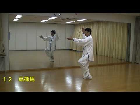 24-style Tai Chi Explanation Guide [Mirror] Back Left Takeuchi Tai Chi Kenji Takeuchi