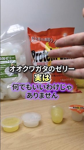 Do you think any insect jelly will do for your stag beetle? Here's how to choose the right food t...
